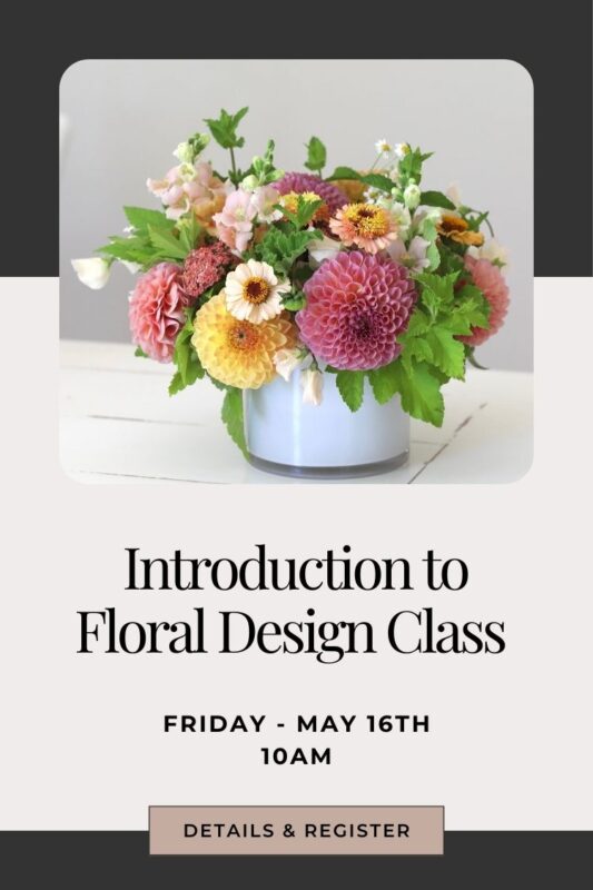 learn how to arrange flowers in an introduction class snohomish washington