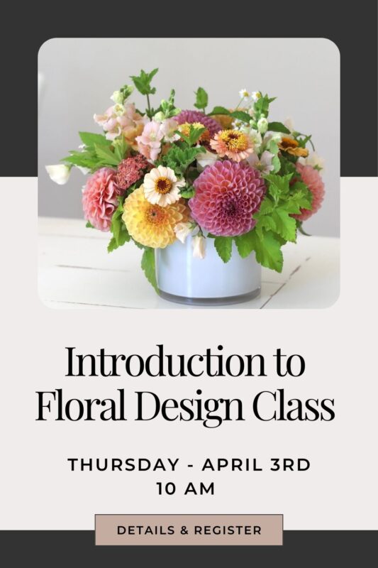 learn how to arrange flowers in a workshop in snohomish washington