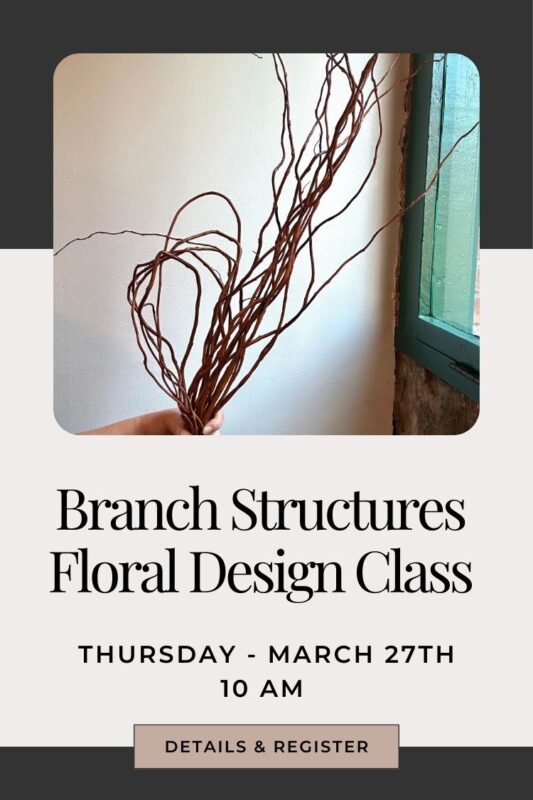 floral design class in snohomish washington where we will work with branch structures mechanics