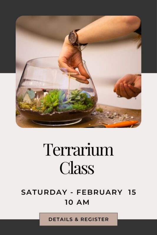 plant terrarium class in snohomish washington