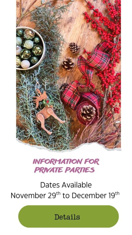 private flower arranging classes in Snohomish washington for Christmas