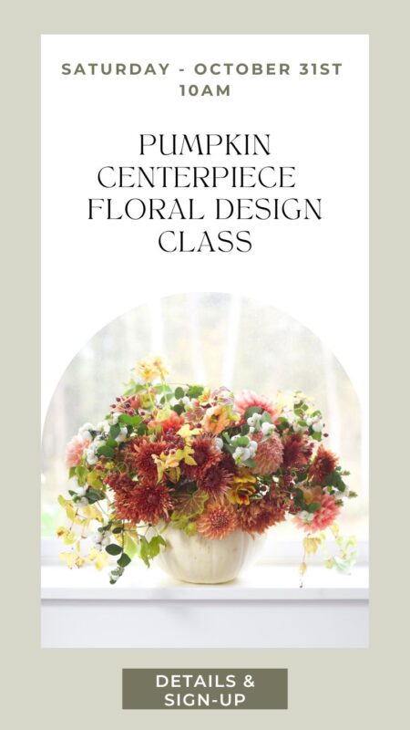 arrange flowers in a pumpkin creative class