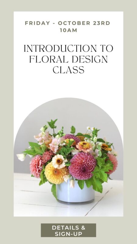 introduction to flower arranging class washington state
